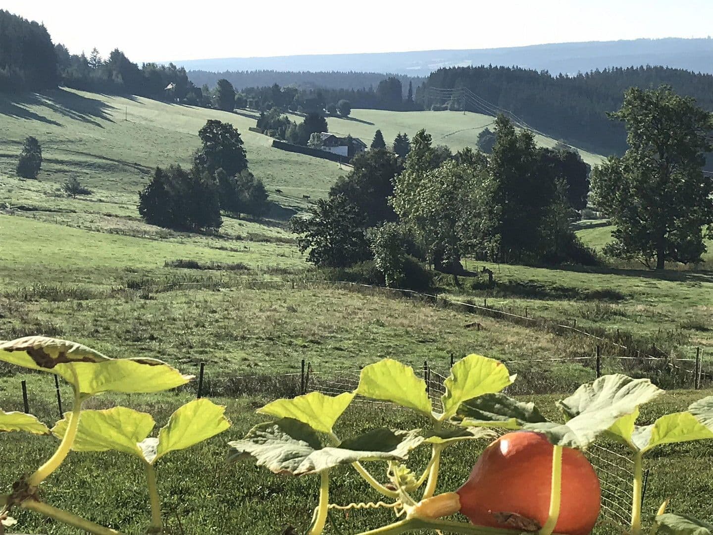 Predaj domu 209 m², pozemek 362 m², Lenzkirch, Bádensko-Wurttembersko Predaj domu 209 m², pozemek 362 m², Lenzkirch, Bádensko-Wurttembersko