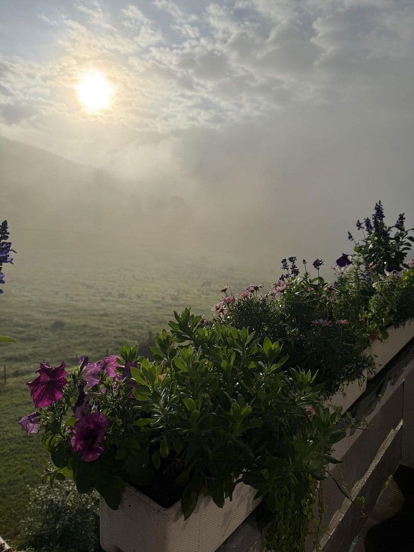 Predaj domu 209 m², pozemek 362 m², Lenzkirch, Bádensko-Wurttembersko Predaj domu 209 m², pozemek 362 m², Lenzkirch, Bádensko-Wurttembersko