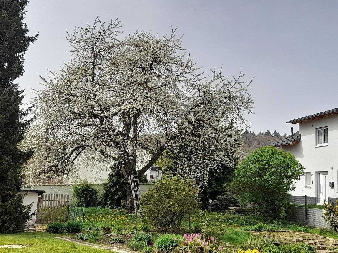 Predaj domu 180 m², pozemek 1.400 m², Marburg, Hesensko Predaj domu 180 m², pozemek 1.400 m², Marburg, Hesensko