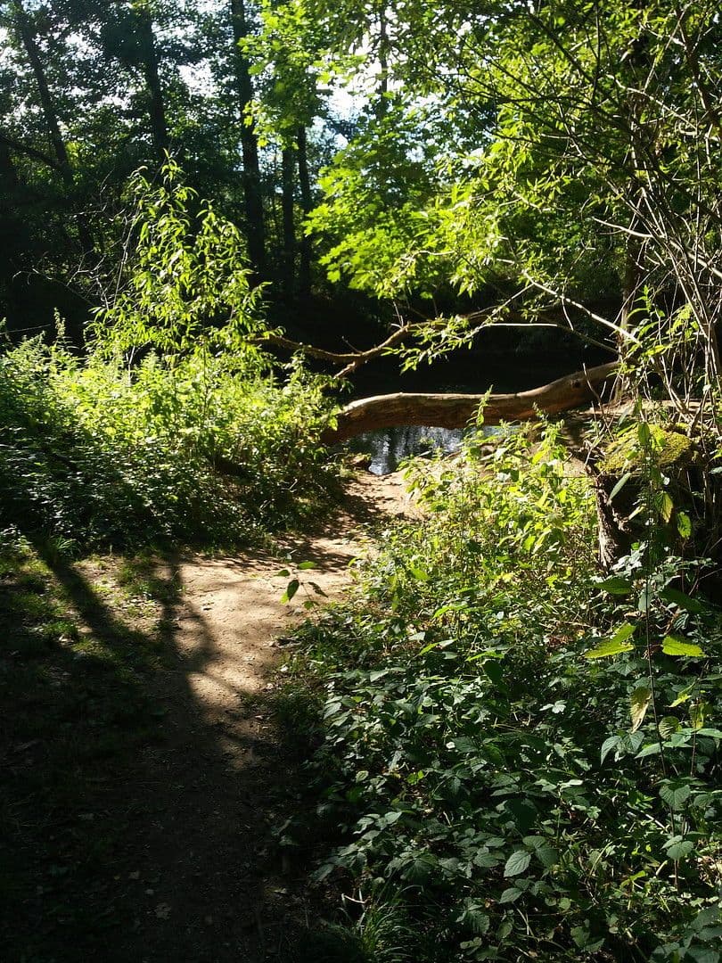 Prenájom bytu 2-izbový 61 m², Nürnberg, Bavorsko Prenájom bytu 2-izbový 61 m², Nürnberg, Bavorsko