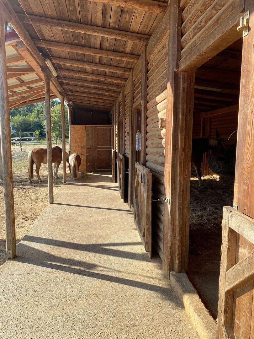 Predaj domu 245 m², pozemek 12.000 m², Kleinmürbisch 30, Kleinmürbisch, Burgenland Predaj domu 245 m², pozemek 12.000 m², Kleinmürbisch 30, Kleinmürbisch, Burgenland