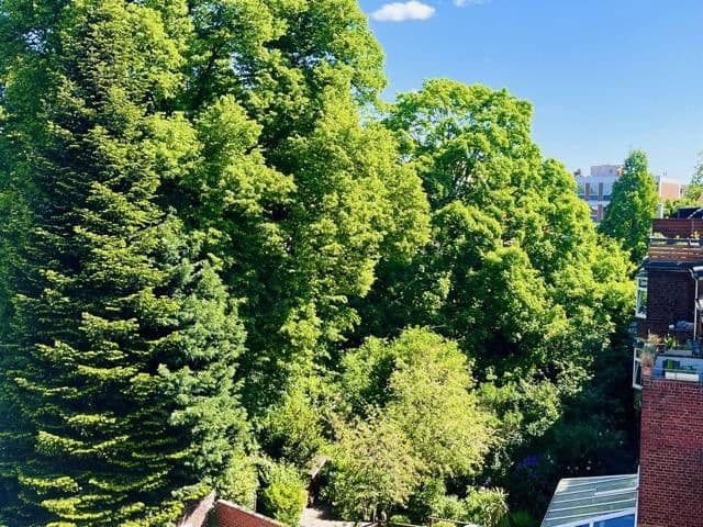 Prenájom bytu 4-izbový 110 m², Fuldastraße 21, Duisburg, Severné Porýnie - Westfálsko Prenájom bytu 4-izbový 110 m², Fuldastraße 21, Duisburg, Severné Porýnie - Westfálsko