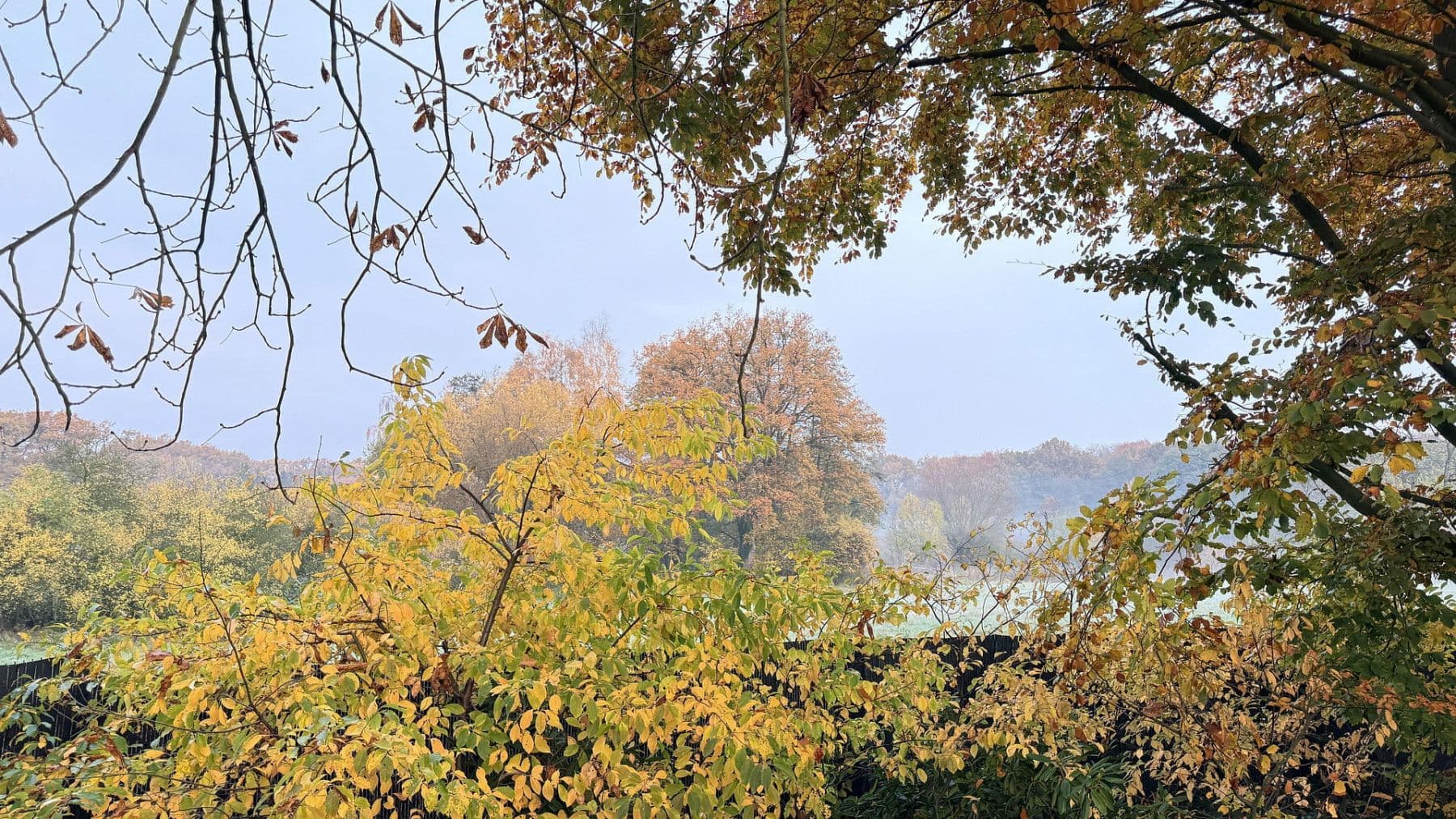 Predaj domu 877 m², pozemek 23.976 m², Balge, Dolné Sasko Predaj domu 877 m², pozemek 23.976 m², Balge, Dolné Sasko