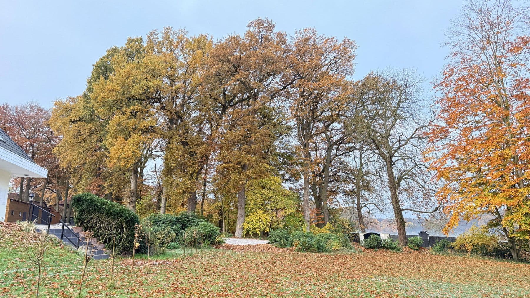 Predaj domu 877 m², pozemek 23.976 m², Balge, Dolné Sasko Predaj domu 877 m², pozemek 23.976 m², Balge, Dolné Sasko