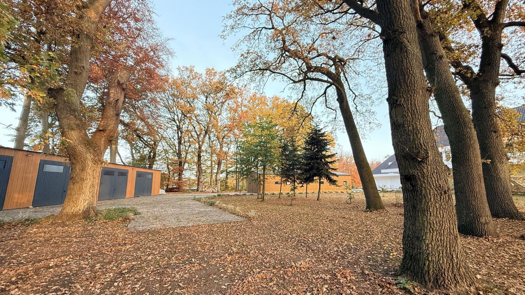 Predaj domu 877 m², pozemek 23.976 m², Balge, Dolné Sasko Predaj domu 877 m², pozemek 23.976 m², Balge, Dolné Sasko