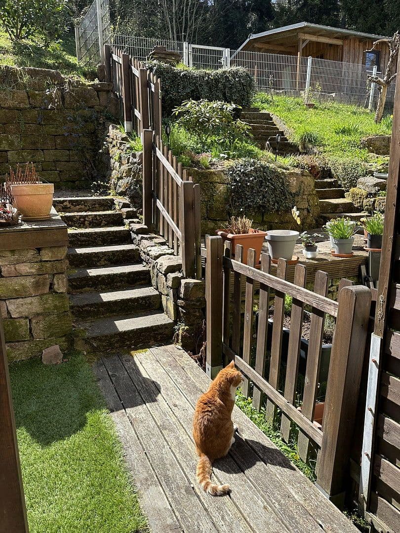 Prenájom bytu 3-izbový 80 m², Calw, Bádensko-Wurttembersko Prenájom bytu 3-izbový 80 m², Calw, Bádensko-Wurttembersko