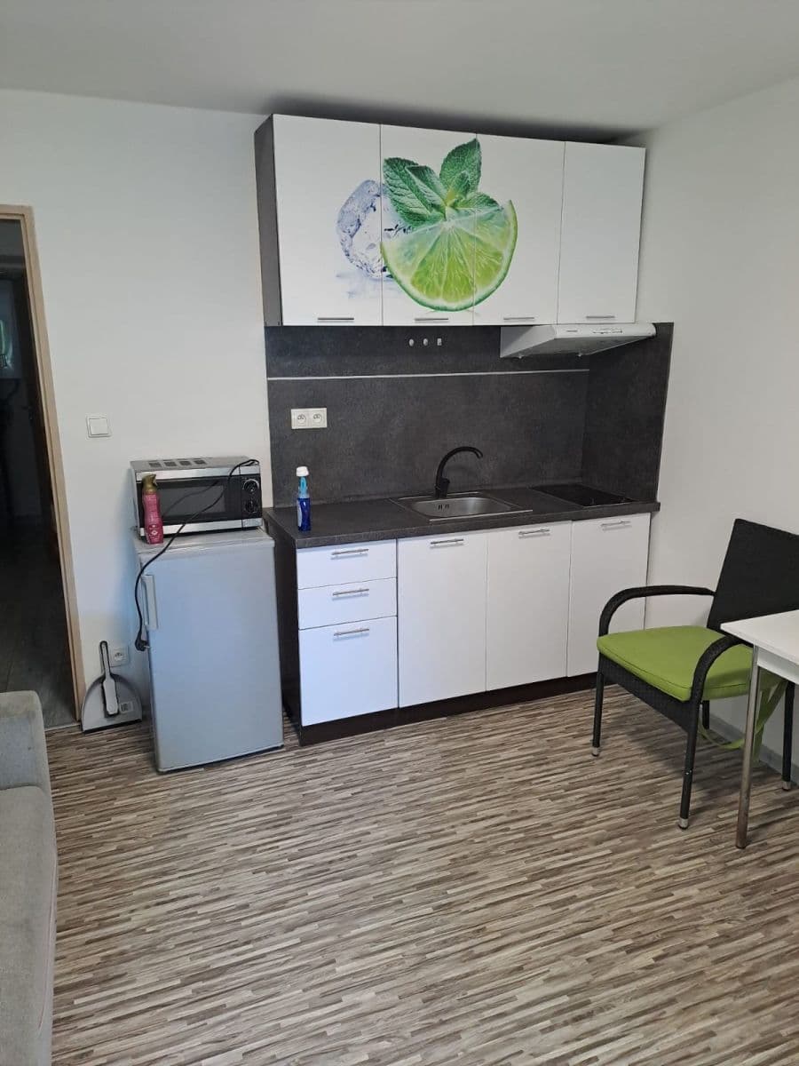 Prenájom bytu 1-izbový 20 m², Táborská, Karlovy Vary, Karlovarský kraj Prenájom bytu 1-izbový 20 m², Táborská, Karlovy Vary, Karlovarský kraj