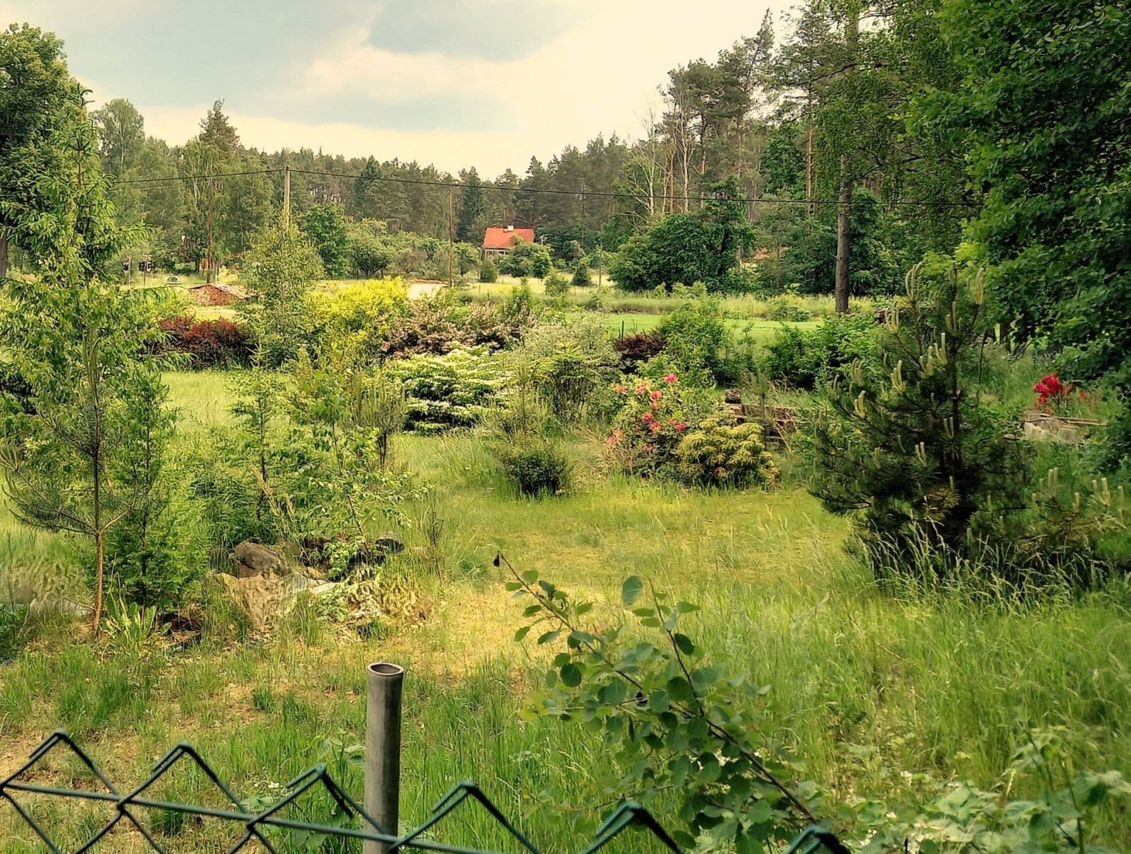 Predaj pozemku 1.742 m², Okna, Liberecký kraj Predaj pozemku 1.742 m², Okna, Liberecký kraj