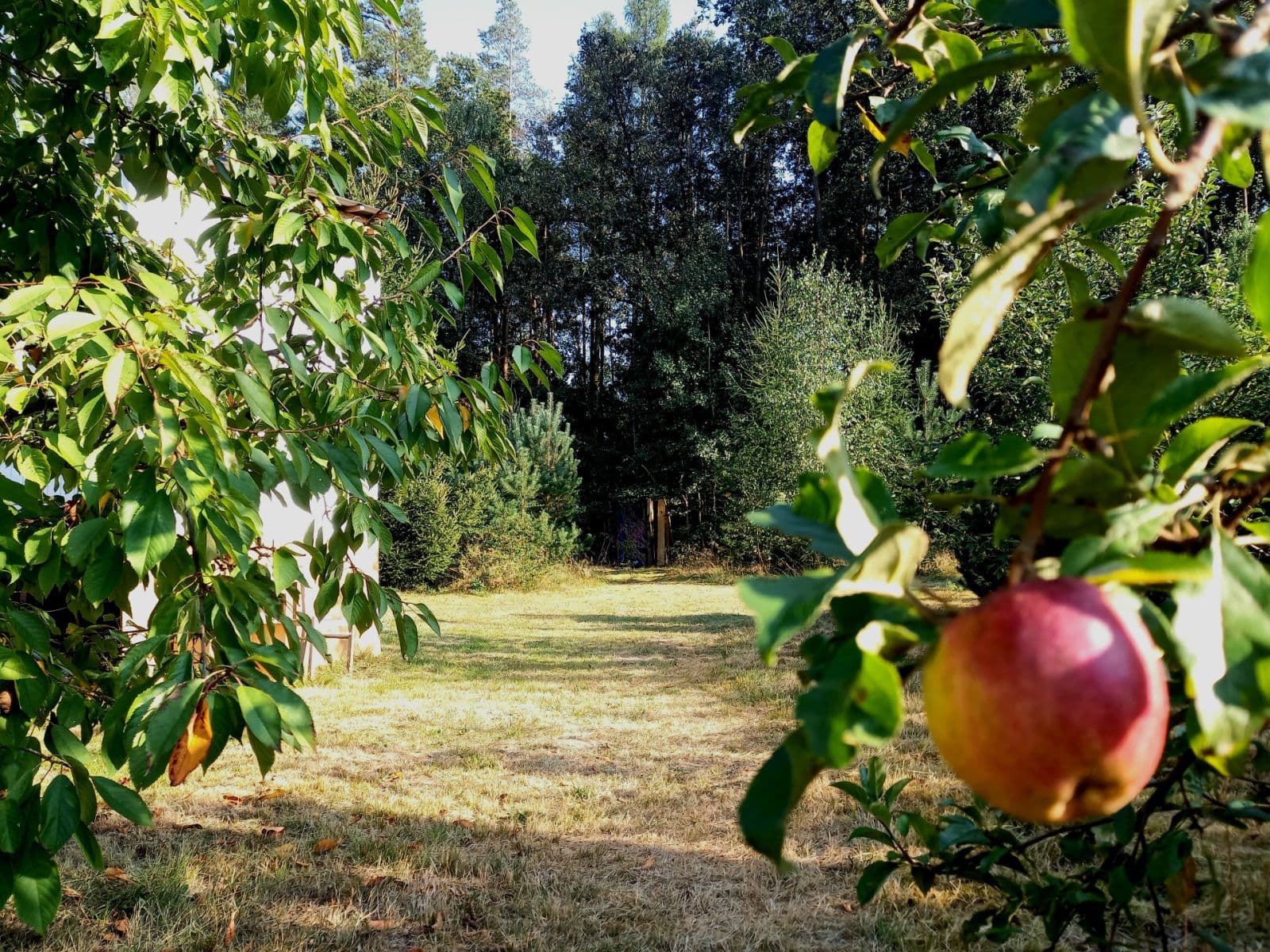 Predaj pozemku 1.742 m², Okna, Liberecký kraj Predaj pozemku 1.742 m², Okna, Liberecký kraj