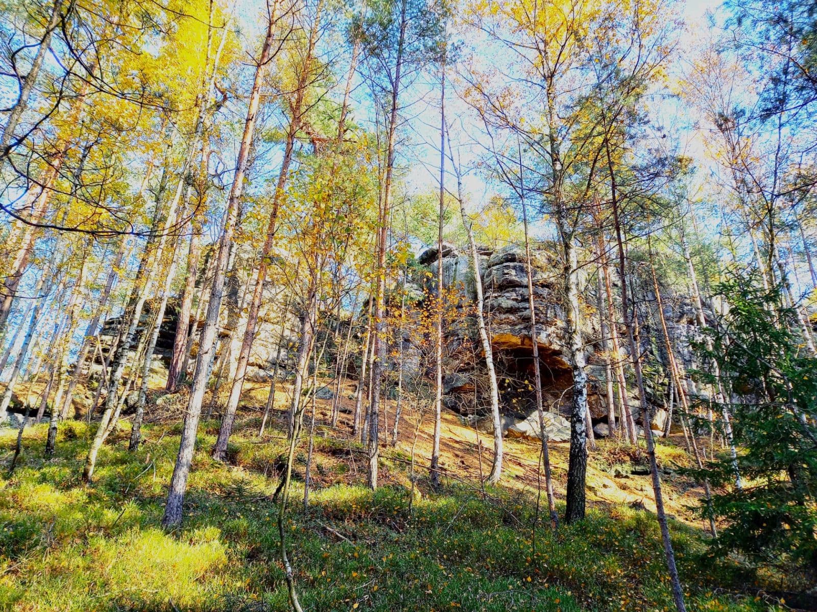 Predaj pozemku 1.742 m², Okna, Liberecký kraj Predaj pozemku 1.742 m², Okna, Liberecký kraj