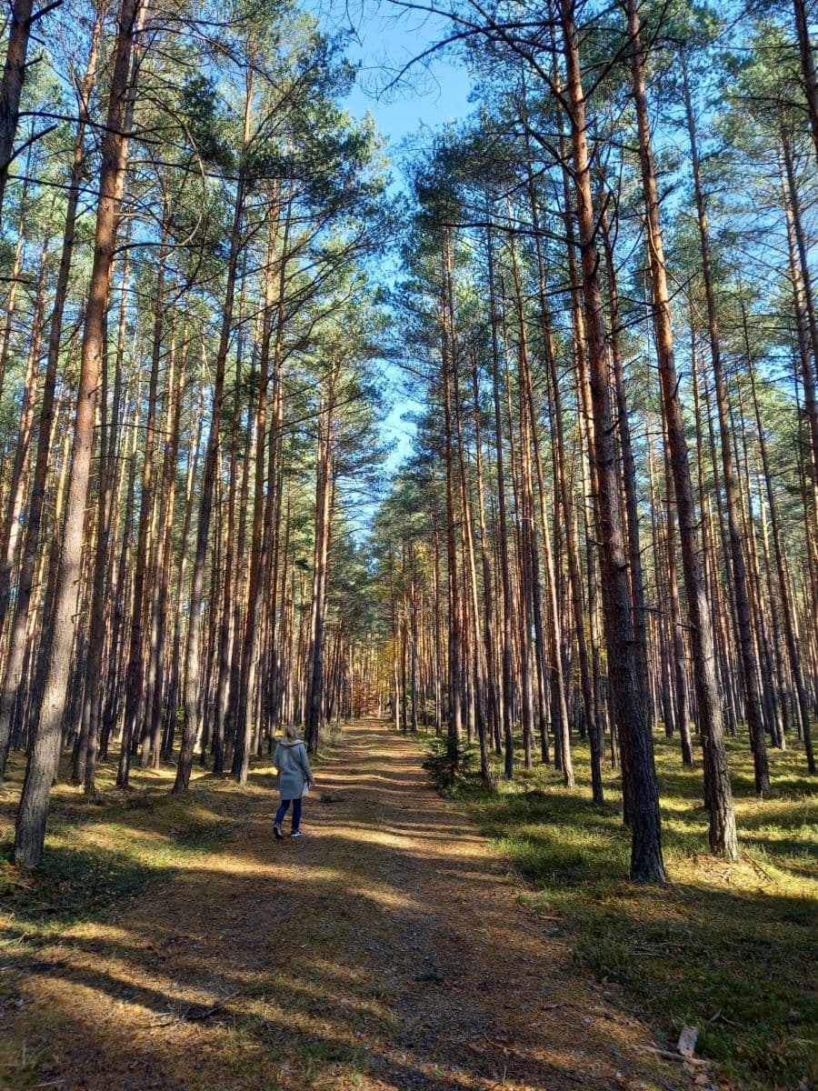 Predaj pozemku 1.742 m², Okna, Liberecký kraj Predaj pozemku 1.742 m², Okna, Liberecký kraj