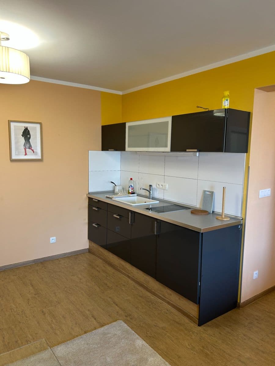 Prenájom bytu 1-izbový 48 m², Hrachová, Ružinov, Bratislavský kraj Prenájom bytu 1-izbový 48 m², Hrachová, Ružinov, Bratislavský kraj