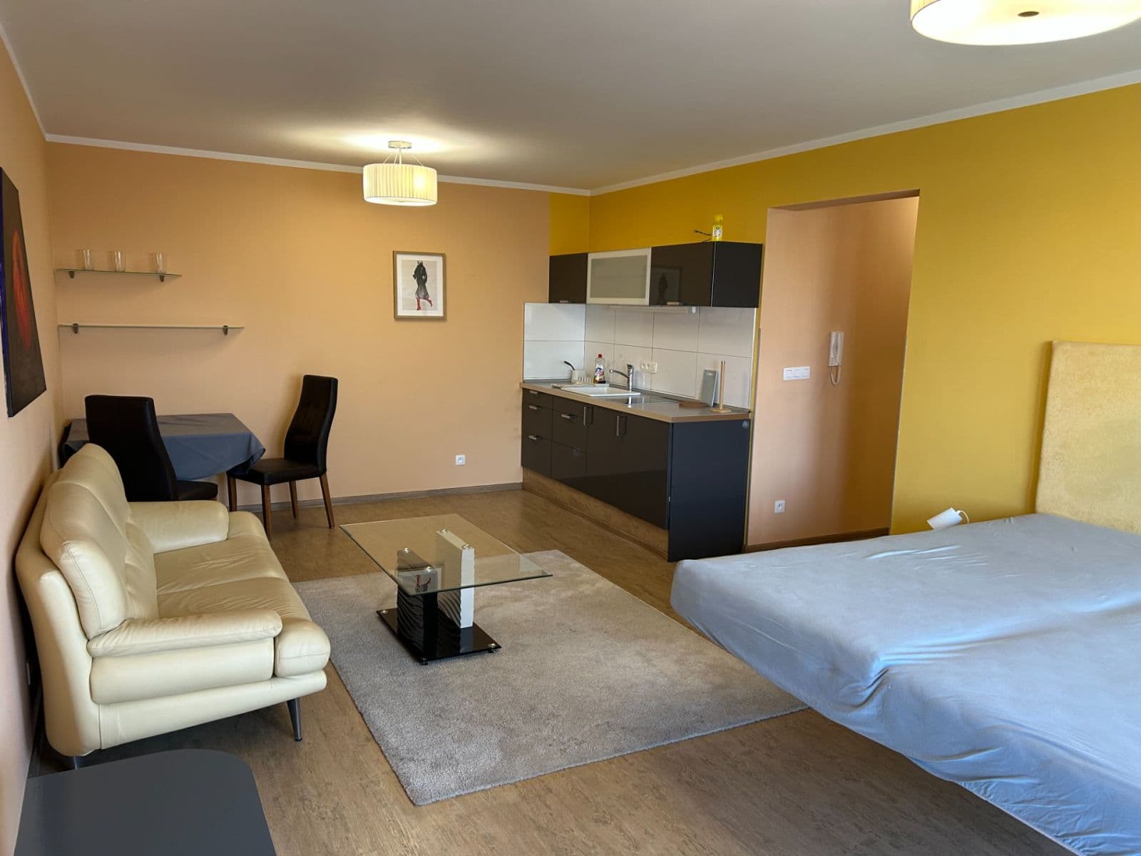 Prenájom bytu 1-izbový 48 m², Hrachová, Ružinov, Bratislavský kraj Prenájom bytu 1-izbový 48 m², Hrachová, Ružinov, Bratislavský kraj