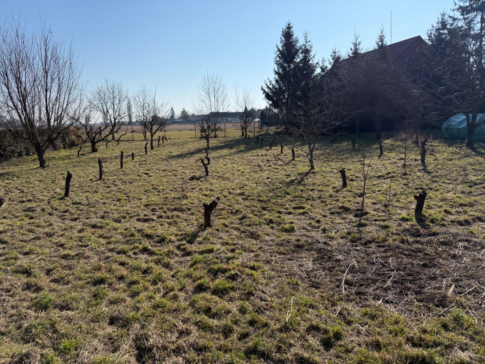 Predaj pozemku 732 m², Roudnice, Královéhradecký kraj Predaj pozemku 732 m², Roudnice, Královéhradecký kraj