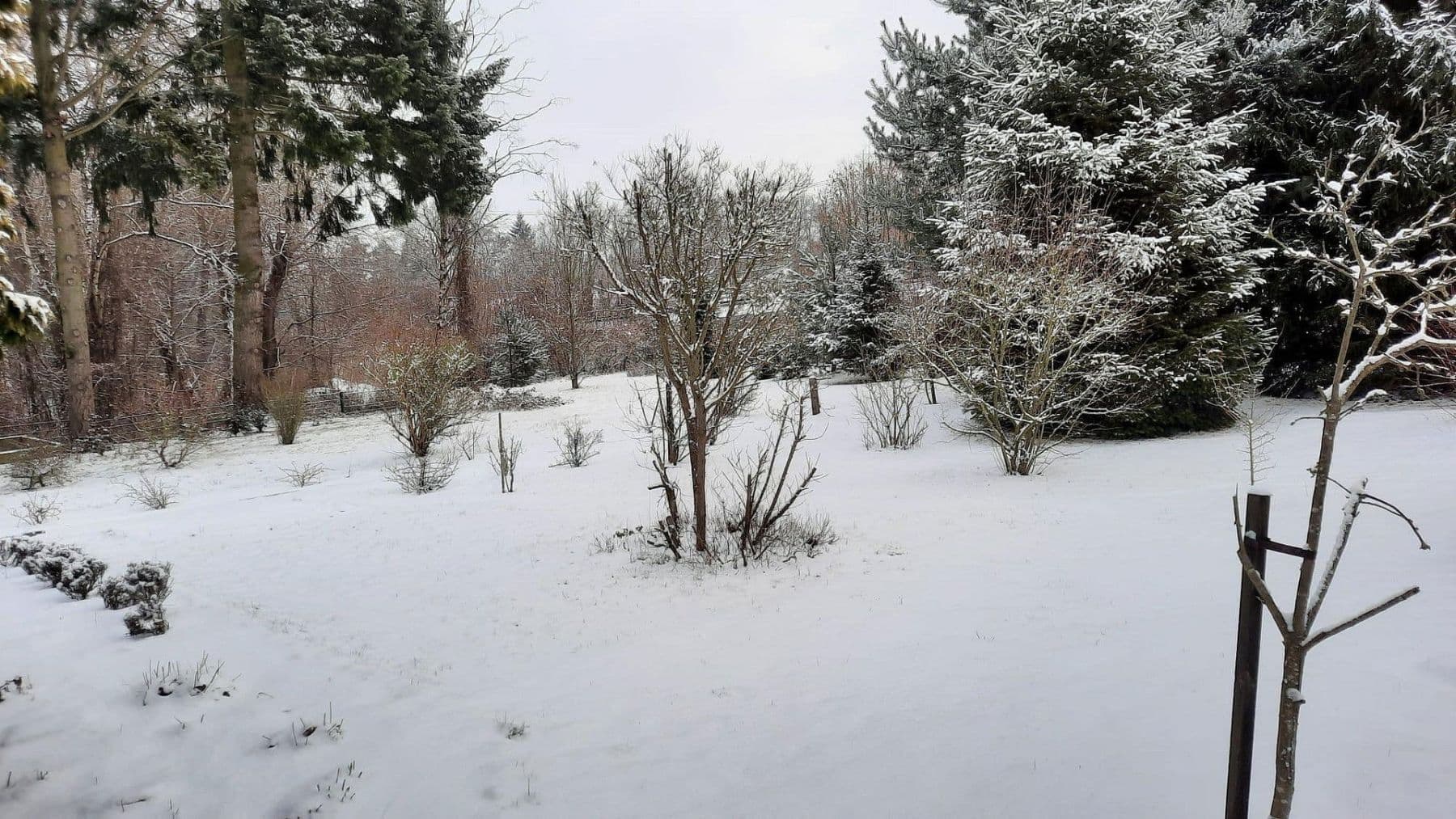 Predaj pozemku 1.102 m², Hohen Neuendorf, Brandenbursko Predaj pozemku 1.102 m², Hohen Neuendorf, Brandenbursko