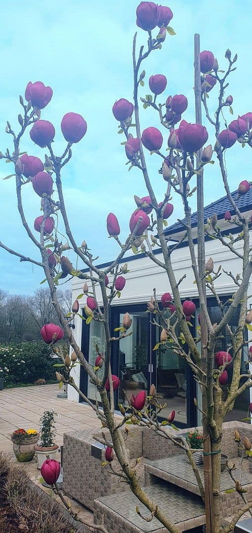 Predaj domu 267 m², pozemek 669 m², Moers, Severné Porýnie - Westfálsko Predaj domu 267 m², pozemek 669 m², Moers, Severné Porýnie - Westfálsko