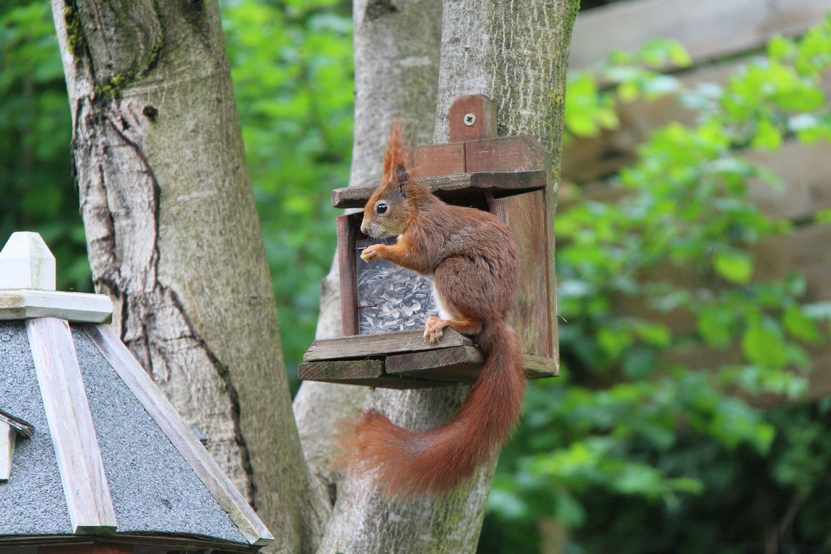 Predaj domu 198 m², pozemek 680 m², Egloffstein, Bavorsko Predaj domu 198 m², pozemek 680 m², Egloffstein, Bavorsko
