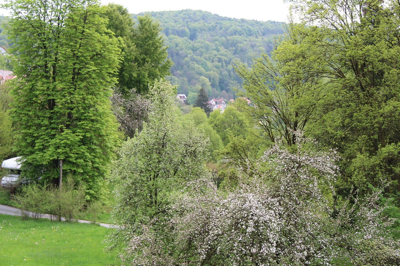 Predaj domu 198 m², pozemek 680 m², Egloffstein, Bavorsko Predaj domu 198 m², pozemek 680 m², Egloffstein, Bavorsko