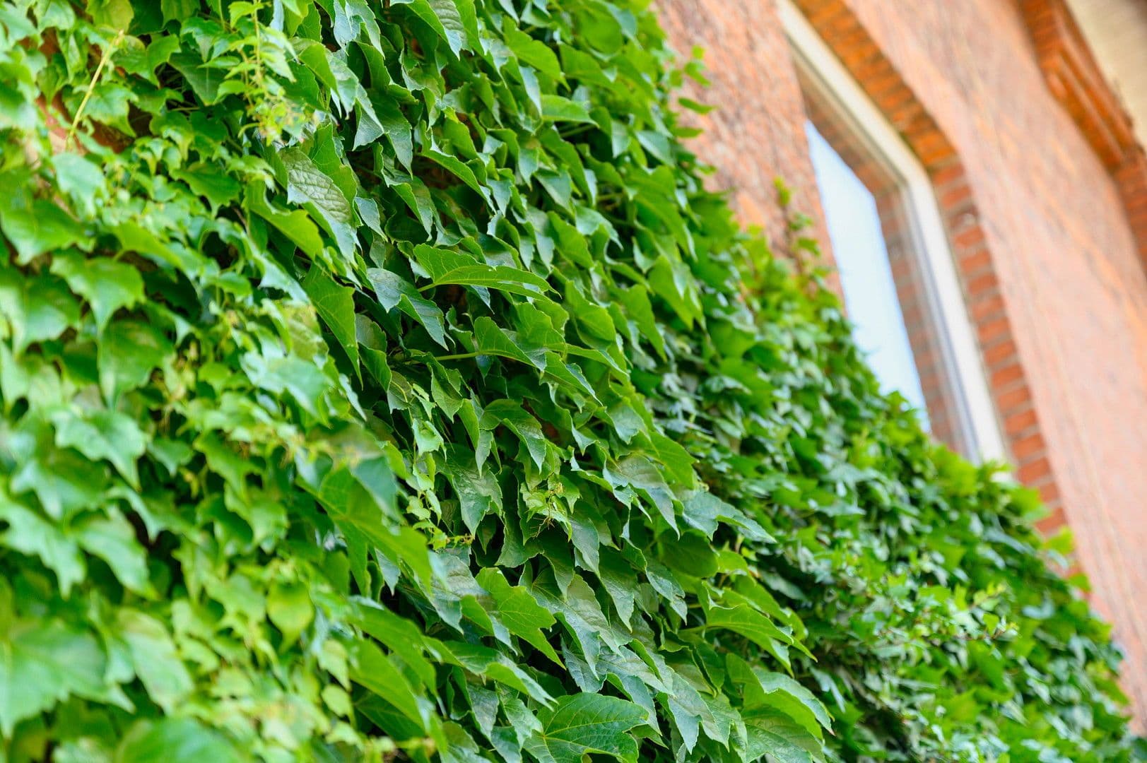 Prenájom bytu 4-izbový 82 m², Brookredder 2d, Traventhal, Šlezvicko-Holštajnsko Prenájom bytu 4-izbový 82 m², Brookredder 2d, Traventhal, Šlezvicko-Holštajnsko