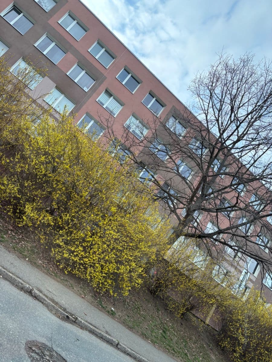 Predaj bytu 2-izbový 53 m², Nad Stadionem, Králův Dvůr, Středočeský kraj Predaj bytu 2-izbový 53 m², Nad Stadionem, Králův Dvůr, Středočeský kraj