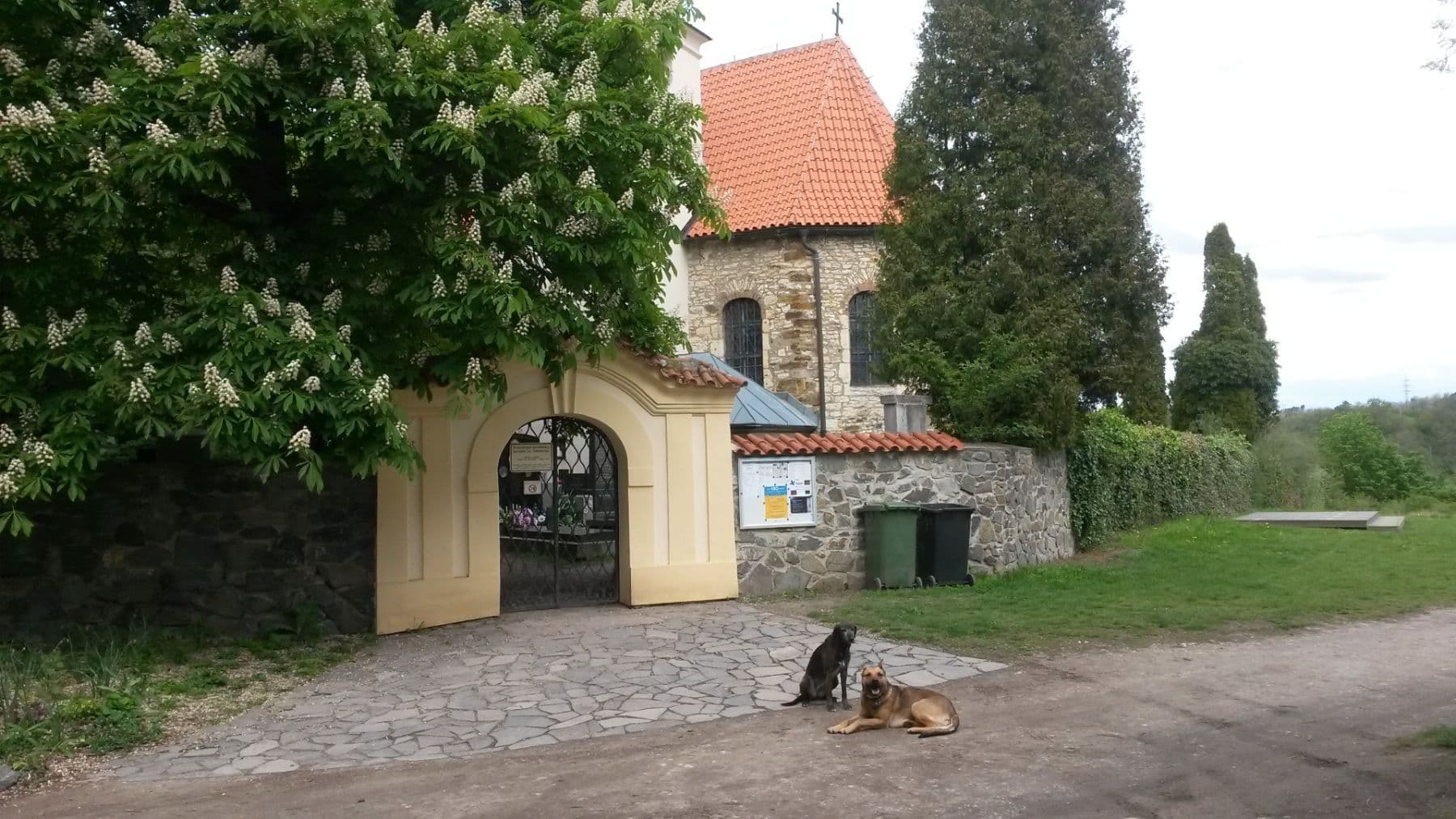 Prenájom rekreačného objektu 30 m², pozemek 1.800 m², Levohradecká, Roztoky, Středočeský kraj Prenájom rekreačného objektu 30 m², pozemek 1.800 m², Levohradecká, Roztoky, Středočeský kraj