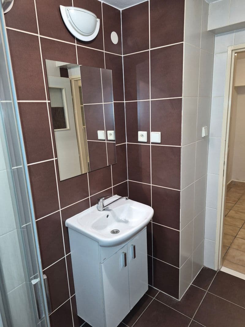 Prenájom bytu 1-izbový 35 m², Střední, Brno, Jihomoravský kraj Prenájom bytu 1-izbový 35 m², Střední, Brno, Jihomoravský kraj