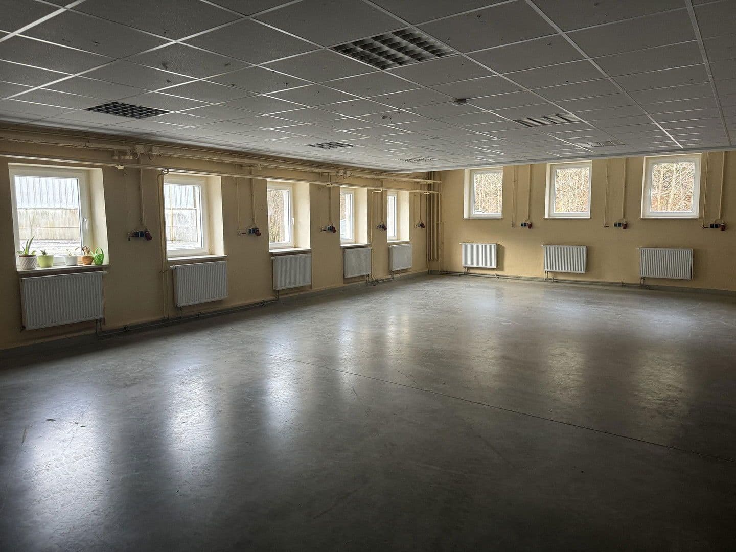 Prenájom nebytového priestoru 9.700 m², Großrückerswalde, Sasko Prenájom nebytového priestoru 9.700 m², Großrückerswalde, Sasko