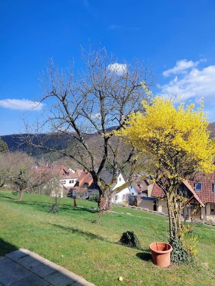 Prenájom bytu 3-izbový 83 m², Mömbris, Bavorsko Prenájom bytu 3-izbový 83 m², Mömbris, Bavorsko