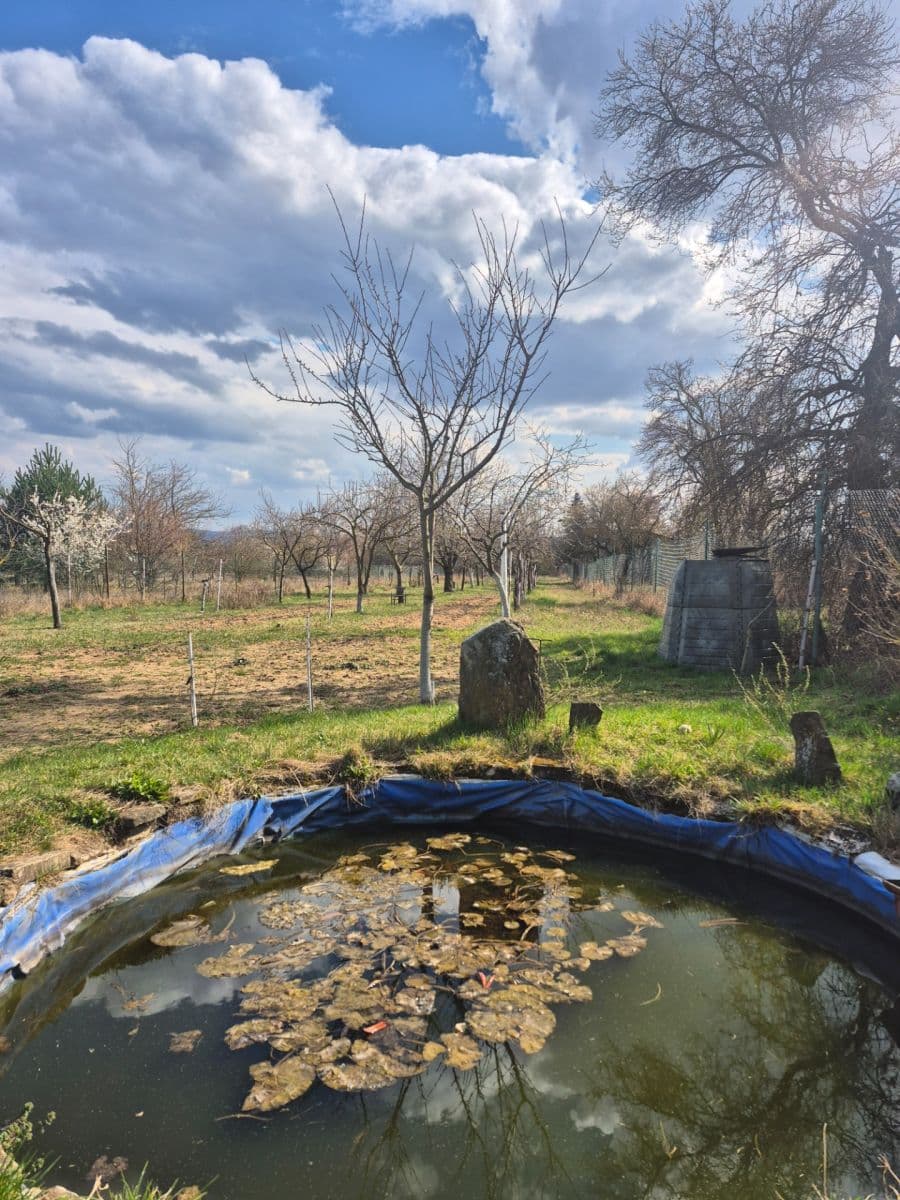 Predaj pozemku 2.950 m², Rohatec, Jihomoravský kraj Predaj pozemku 2.950 m², Rohatec, Jihomoravský kraj