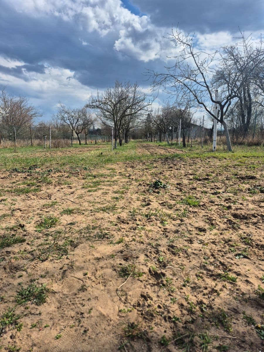 Predaj pozemku 2.950 m², Rohatec, Jihomoravský kraj Predaj pozemku 2.950 m², Rohatec, Jihomoravský kraj