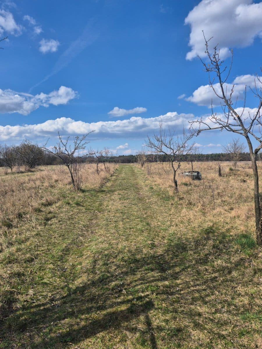 Predaj pozemku 2.950 m², Rohatec, Jihomoravský kraj Predaj pozemku 2.950 m², Rohatec, Jihomoravský kraj