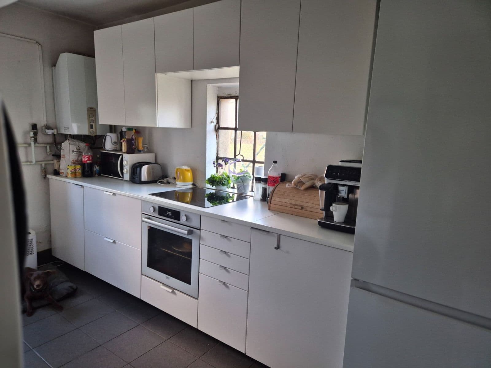 Prenájom nebytového priestoru 80 m², Na Koupaliště, Praha, Praha Prenájom nebytového priestoru 80 m², Na Koupaliště, Praha, Praha