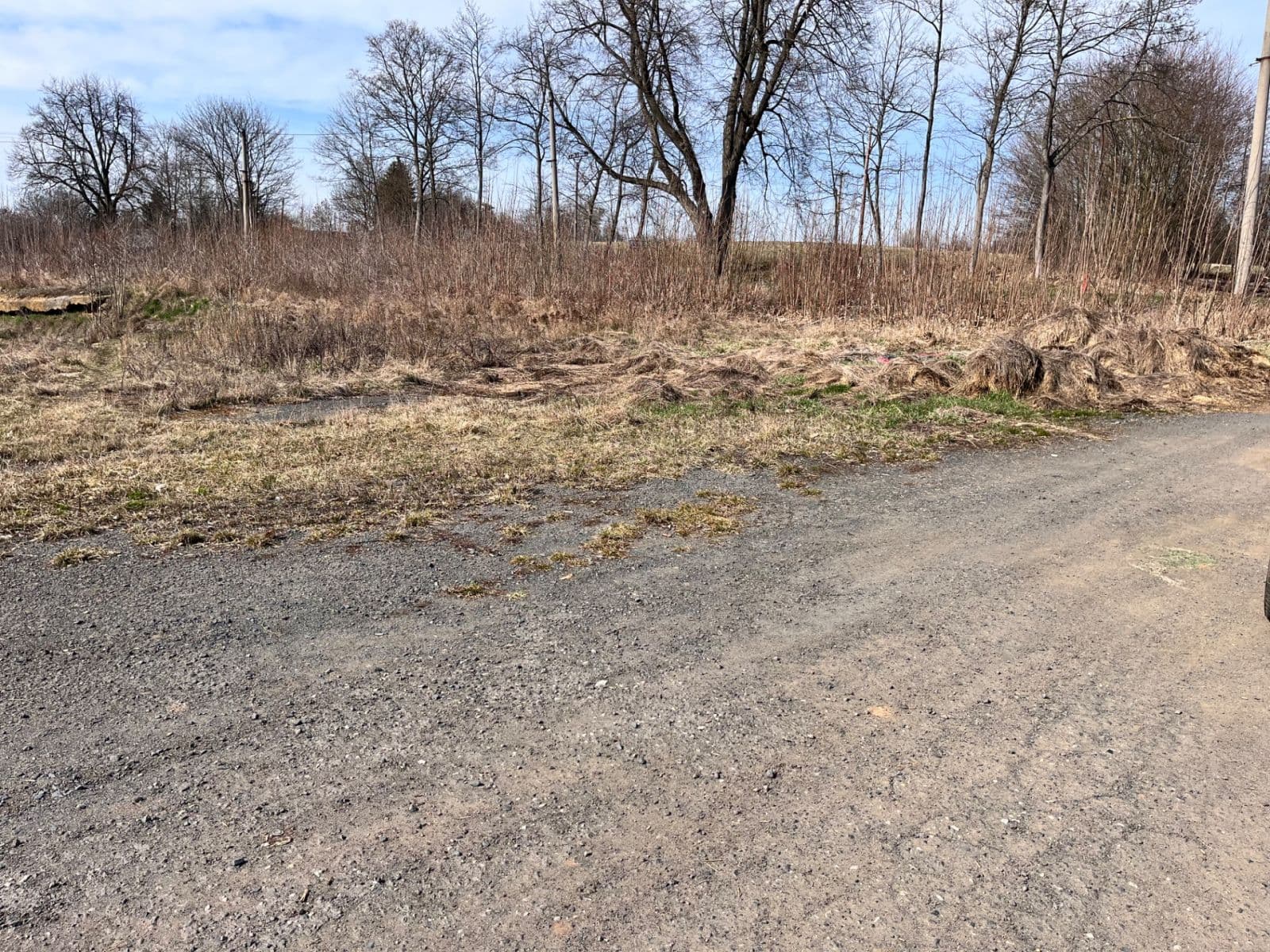 Predaj pozemku 11.196 m², Štědrá, Karlovarský kraj Predaj pozemku 11.196 m², Štědrá, Karlovarský kraj