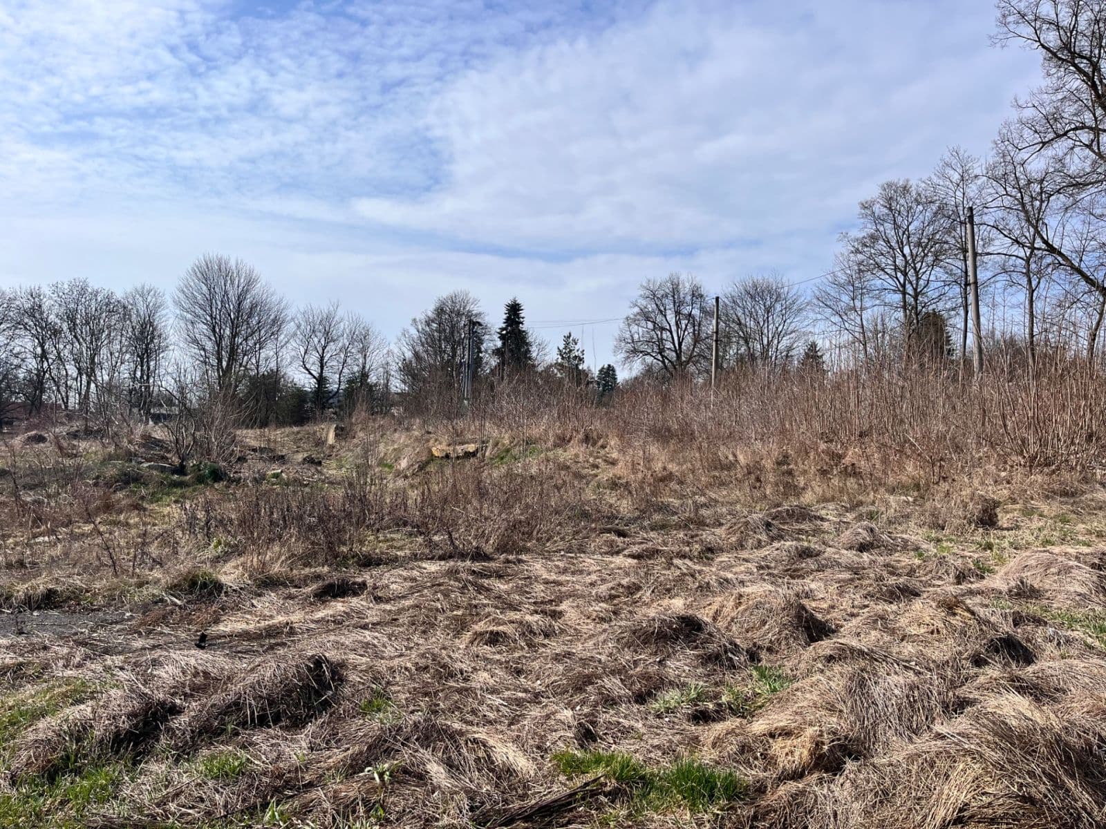 Predaj pozemku 11.196 m², Štědrá, Karlovarský kraj Predaj pozemku 11.196 m², Štědrá, Karlovarský kraj