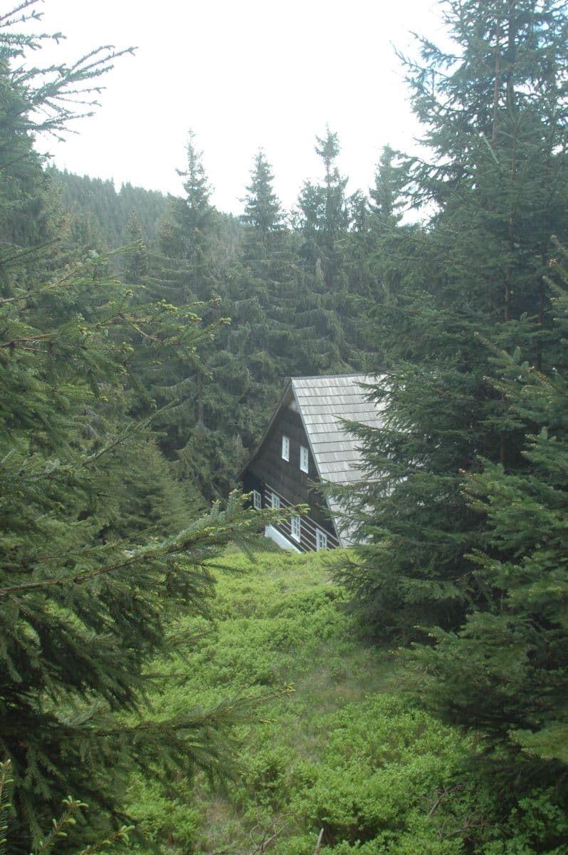 Prenájom rekreačného objektu 100 m², pozemek 100 m², Malá Úpa, Královéhradecký kraj Prenájom rekreačného objektu 100 m², pozemek 100 m², Malá Úpa, Královéhradecký kraj