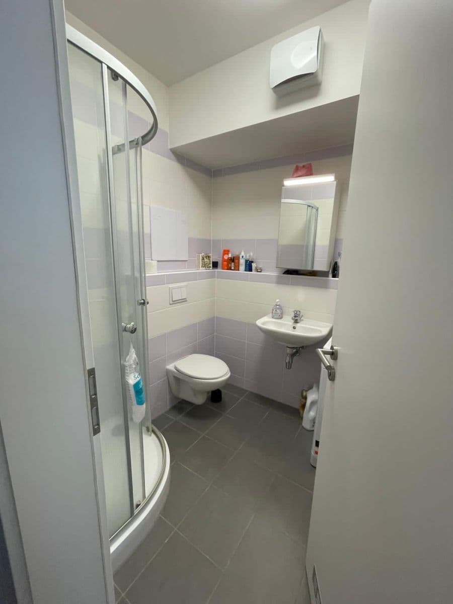 Prenájom bytu 1-izbový 37 m², Olgy Havlové, Praha, Praha Prenájom bytu 1-izbový 37 m², Olgy Havlové, Praha, Praha