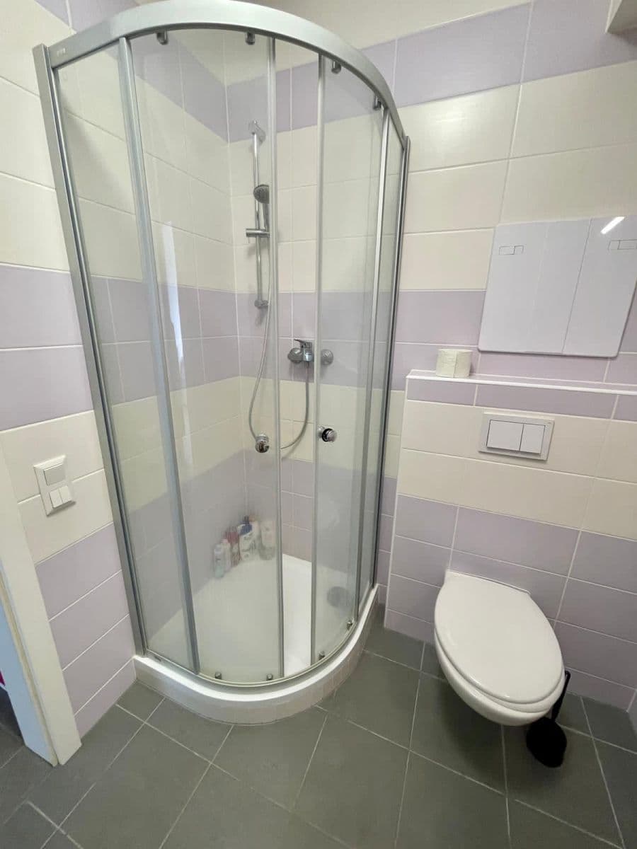 Prenájom bytu 1-izbový 37 m², Olgy Havlové, Praha, Praha Prenájom bytu 1-izbový 37 m², Olgy Havlové, Praha, Praha