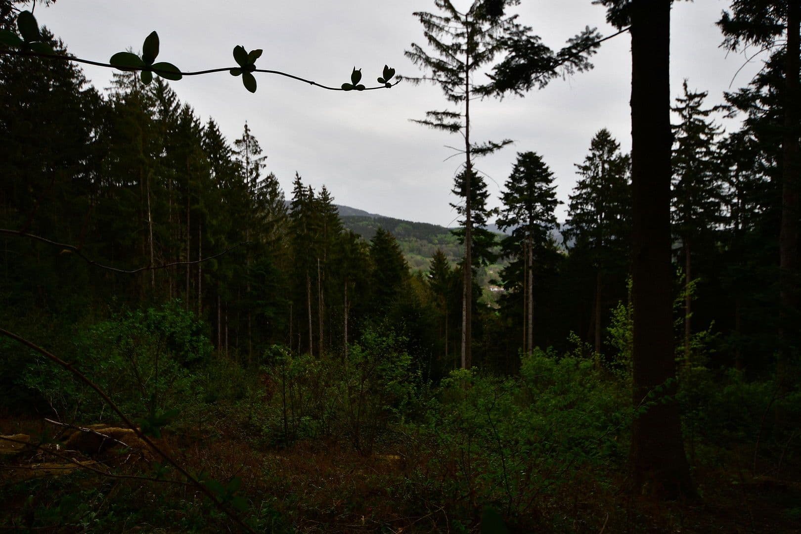 Predaj domu 50 m², pozemek 2.890 m², Bernried, Bavorsko Predaj domu 50 m², pozemek 2.890 m², Bernried, Bavorsko