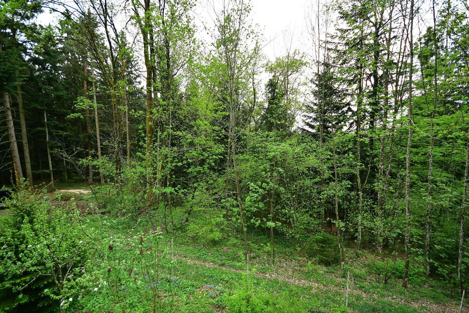 Predaj domu 50 m², pozemek 2.890 m², Bernried, Bavorsko Predaj domu 50 m², pozemek 2.890 m², Bernried, Bavorsko