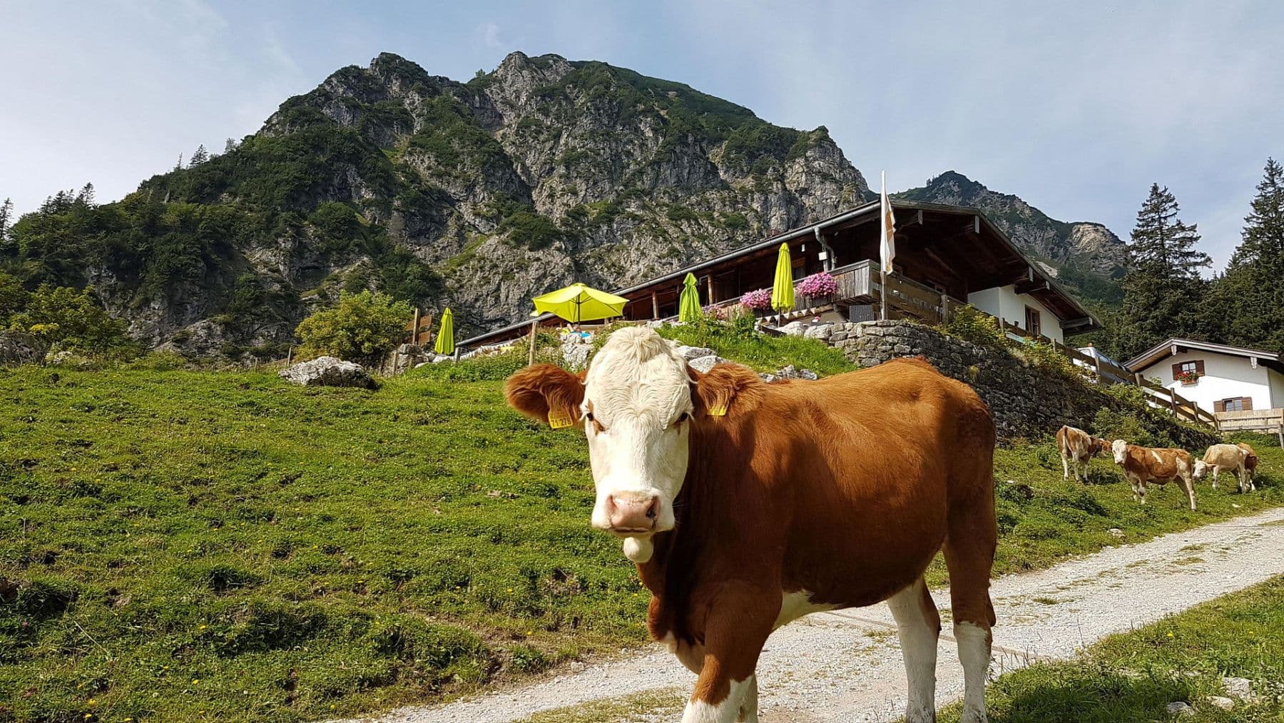 Predaj nebytového priestoru 935 m², Wuhrstein 17, Schleching, Bavorsko Predaj nebytového priestoru 935 m², Wuhrstein 17, Schleching, Bavorsko