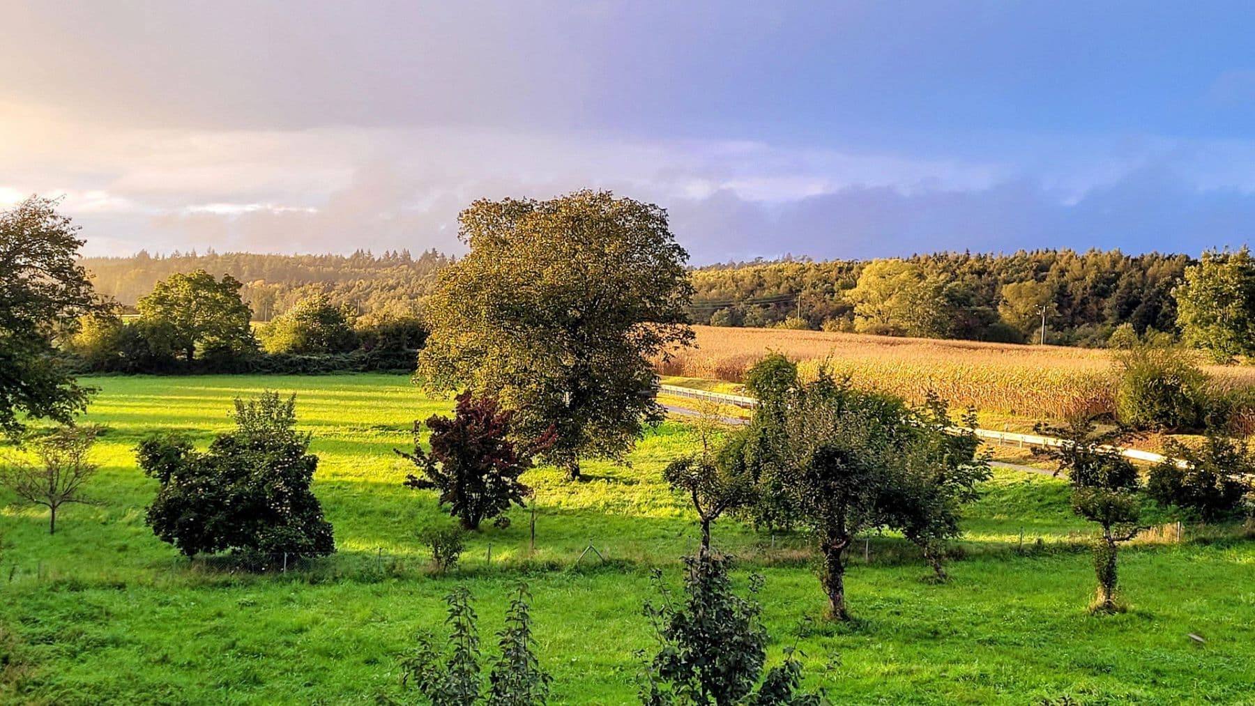 Predaj domu 210 m², pozemek 464 m², Allensbach, Bádensko-Wurttembersko Predaj domu 210 m², pozemek 464 m², Allensbach, Bádensko-Wurttembersko
