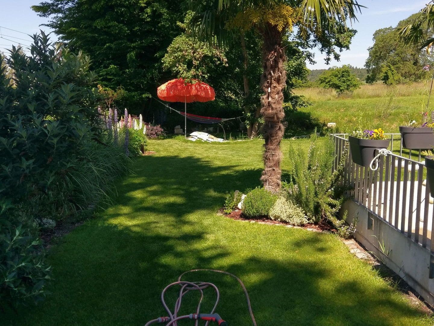 Predaj domu 210 m², pozemek 464 m², Allensbach, Bádensko-Wurttembersko Predaj domu 210 m², pozemek 464 m², Allensbach, Bádensko-Wurttembersko