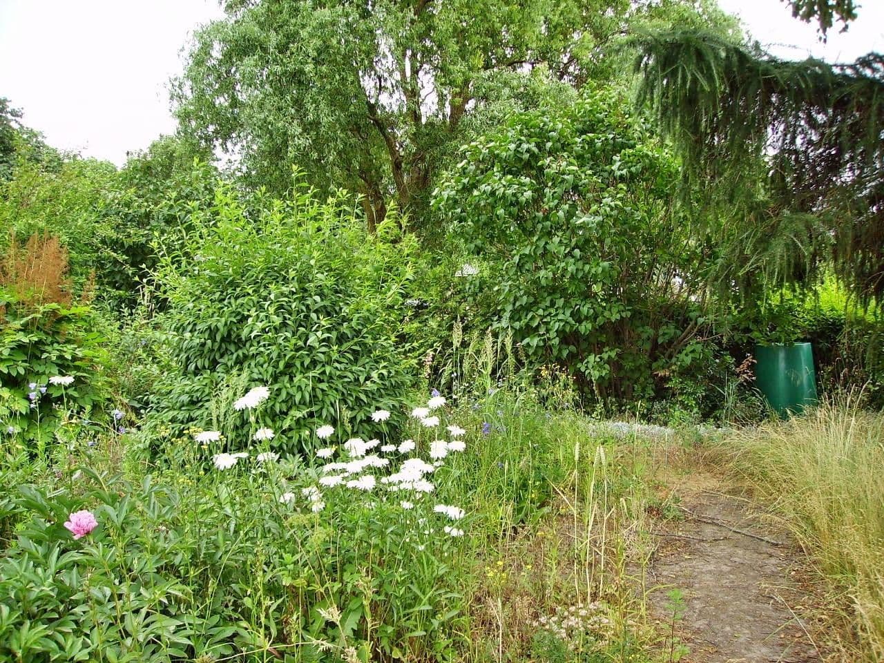 Prenájom bytu 2-izbový 58 m², Görke 32, Postlow, Meklenbursko-Predpomoransko Prenájom bytu 2-izbový 58 m², Görke 32, Postlow, Meklenbursko-Predpomoransko