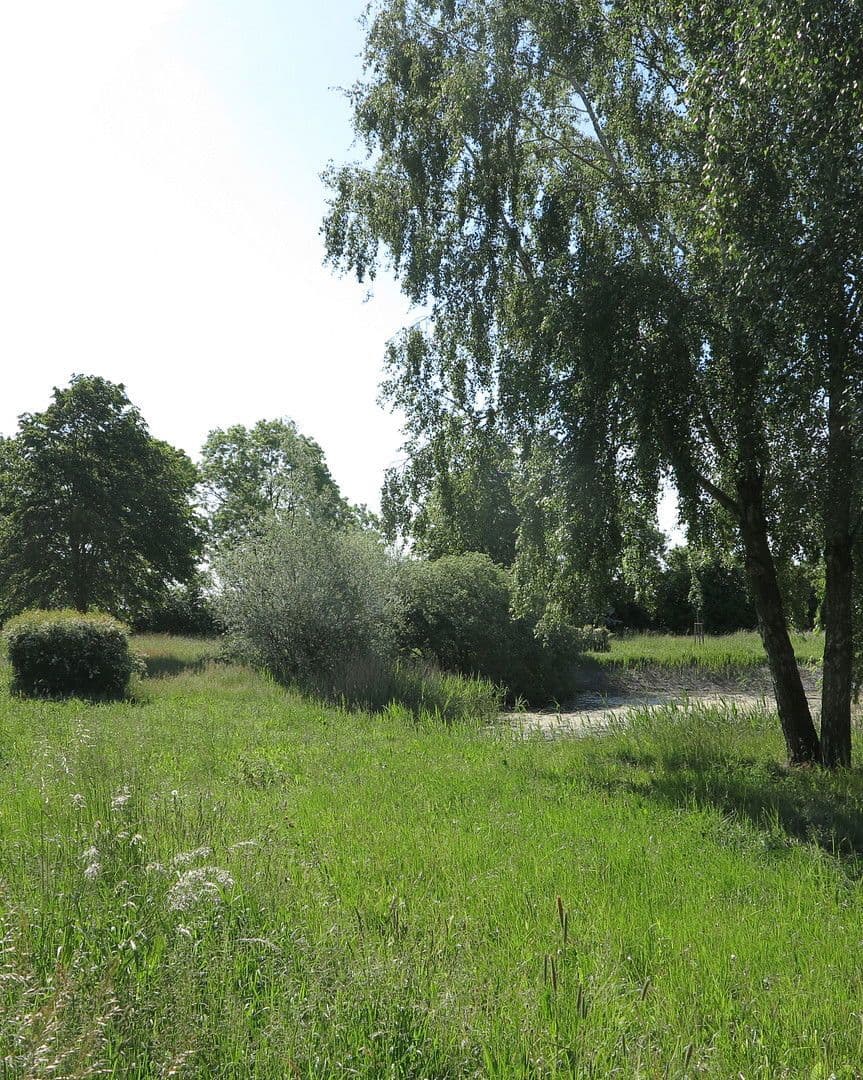 Predaj domu 1.200 m², pozemek 7.000 m², Ivenack, Meklenbursko-Predpomoransko Predaj domu 1.200 m², pozemek 7.000 m², Ivenack, Meklenbursko-Predpomoransko