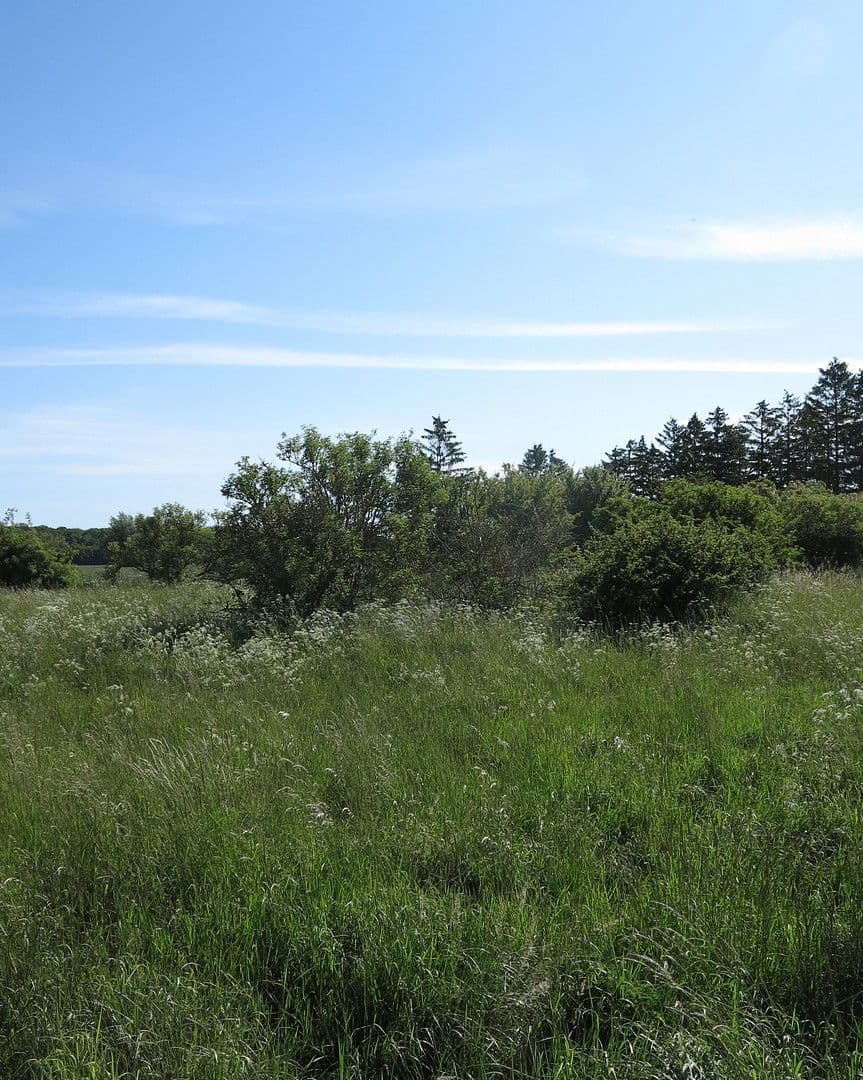 Predaj domu 1.200 m², pozemek 7.000 m², Ivenack, Meklenbursko-Predpomoransko Predaj domu 1.200 m², pozemek 7.000 m², Ivenack, Meklenbursko-Predpomoransko