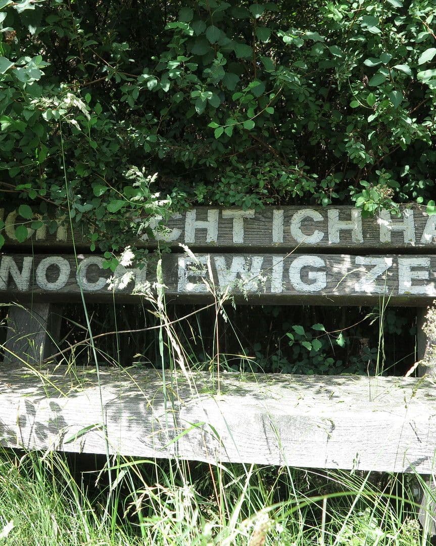 Predaj domu 1.200 m², pozemek 7.000 m², Ivenack, Meklenbursko-Predpomoransko Predaj domu 1.200 m², pozemek 7.000 m², Ivenack, Meklenbursko-Predpomoransko