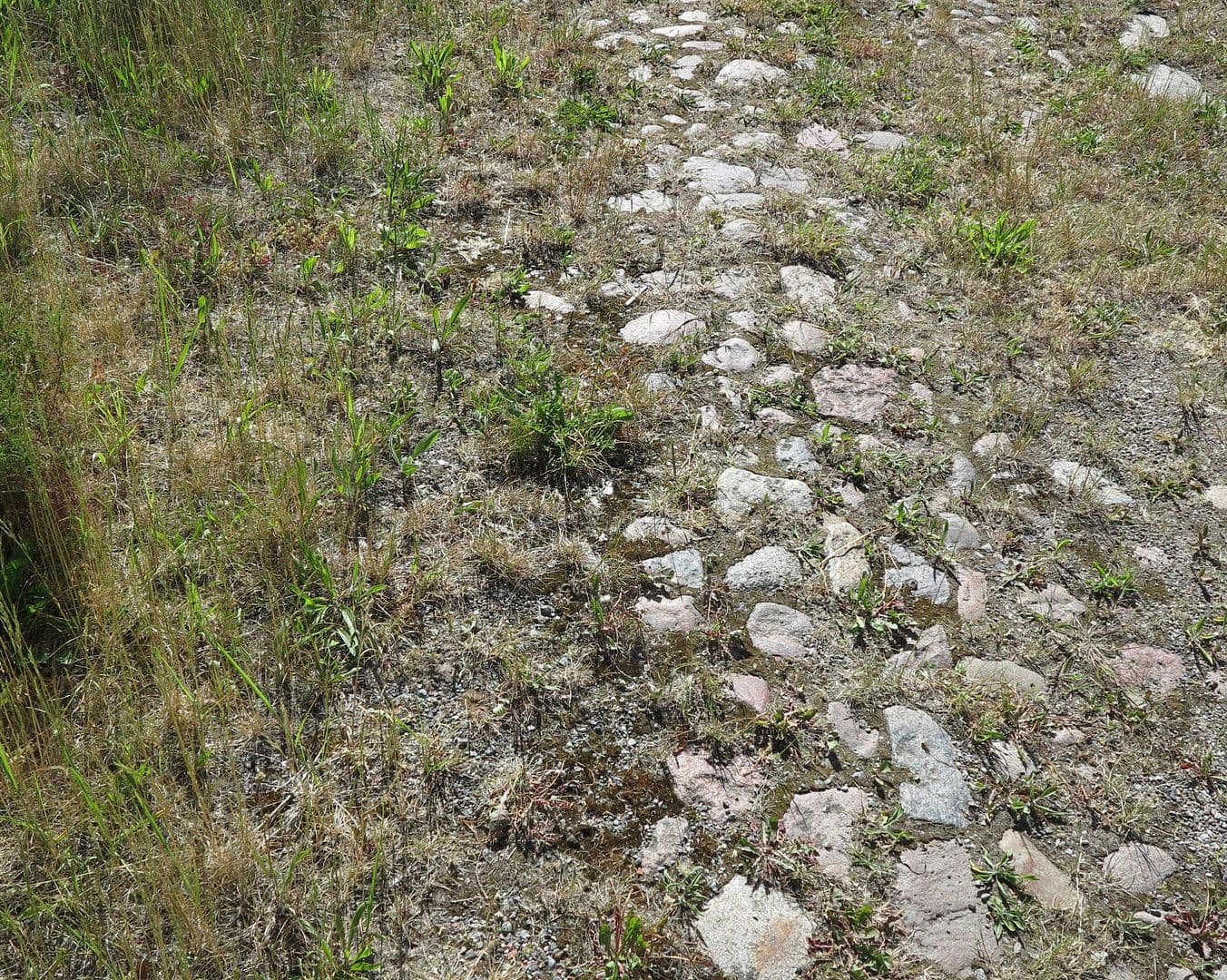 Predaj domu 1.200 m², pozemek 7.000 m², Ivenack, Meklenbursko-Predpomoransko Predaj domu 1.200 m², pozemek 7.000 m², Ivenack, Meklenbursko-Predpomoransko