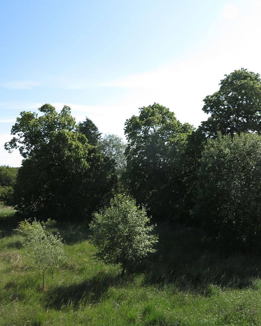 Predaj domu 1.200 m², pozemek 7.000 m², Ivenack, Meklenbursko-Predpomoransko Predaj domu 1.200 m², pozemek 7.000 m², Ivenack, Meklenbursko-Predpomoransko