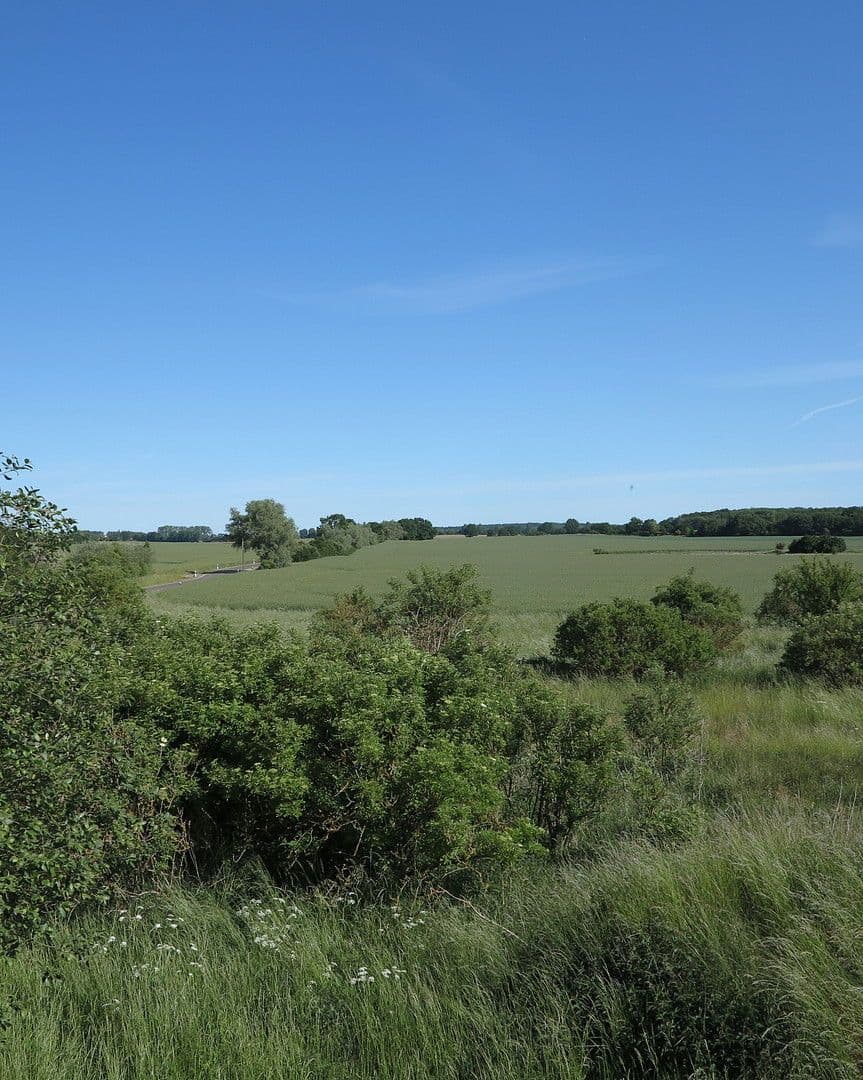 Predaj domu 1.200 m², pozemek 7.000 m², Ivenack, Meklenbursko-Predpomoransko Predaj domu 1.200 m², pozemek 7.000 m², Ivenack, Meklenbursko-Predpomoransko