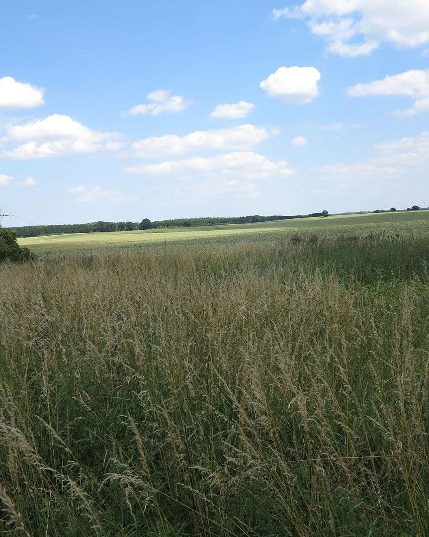 Predaj domu 1.200 m², pozemek 7.000 m², Ivenack, Meklenbursko-Predpomoransko Predaj domu 1.200 m², pozemek 7.000 m², Ivenack, Meklenbursko-Predpomoransko